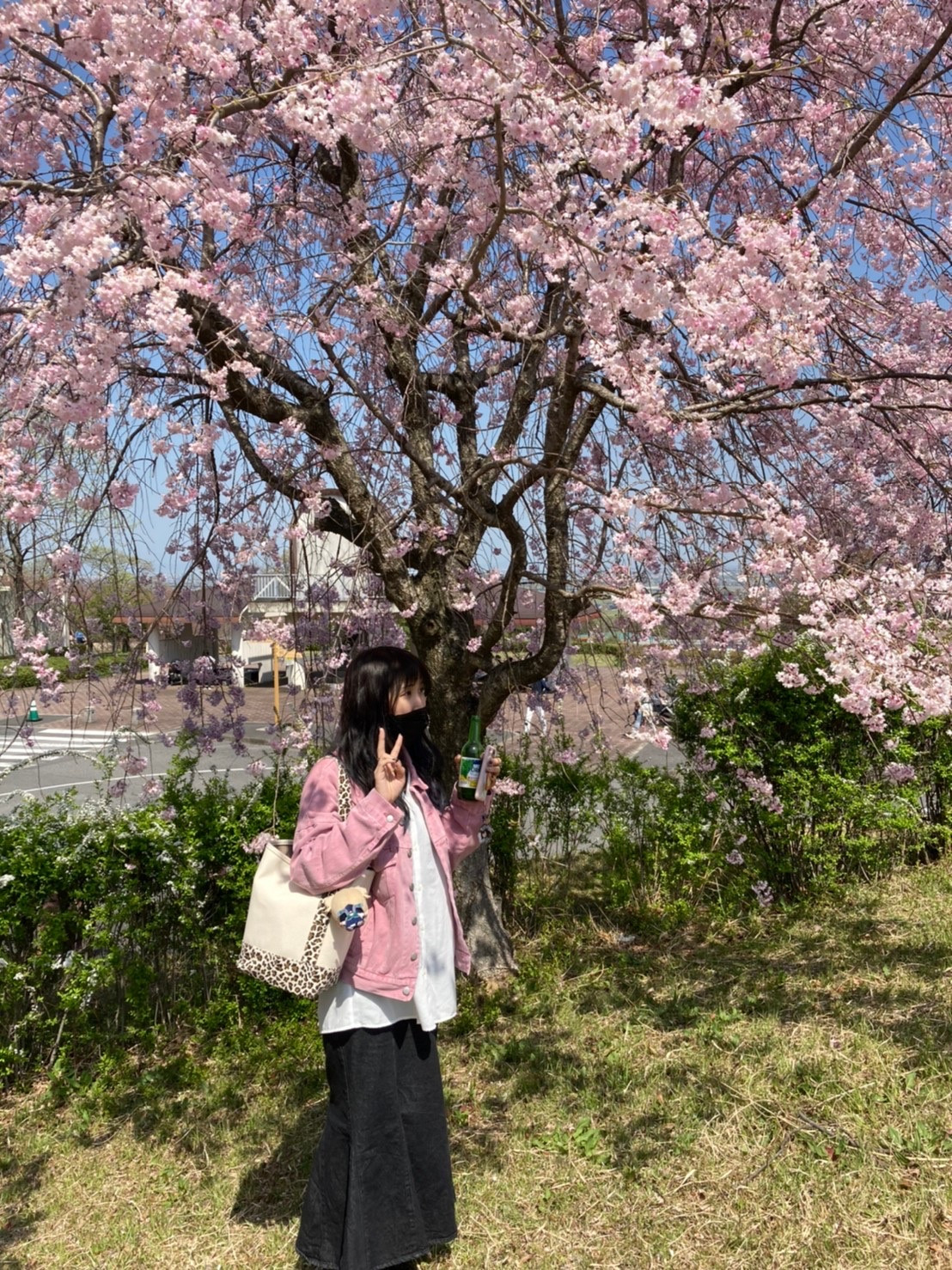 初めましてm(_ _)m