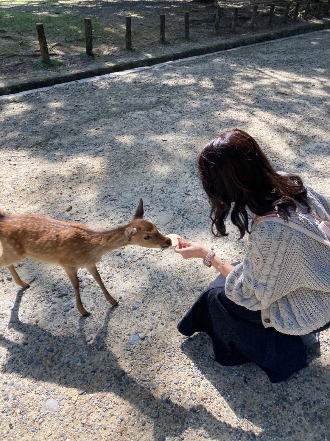 可愛かった(*´?`*)