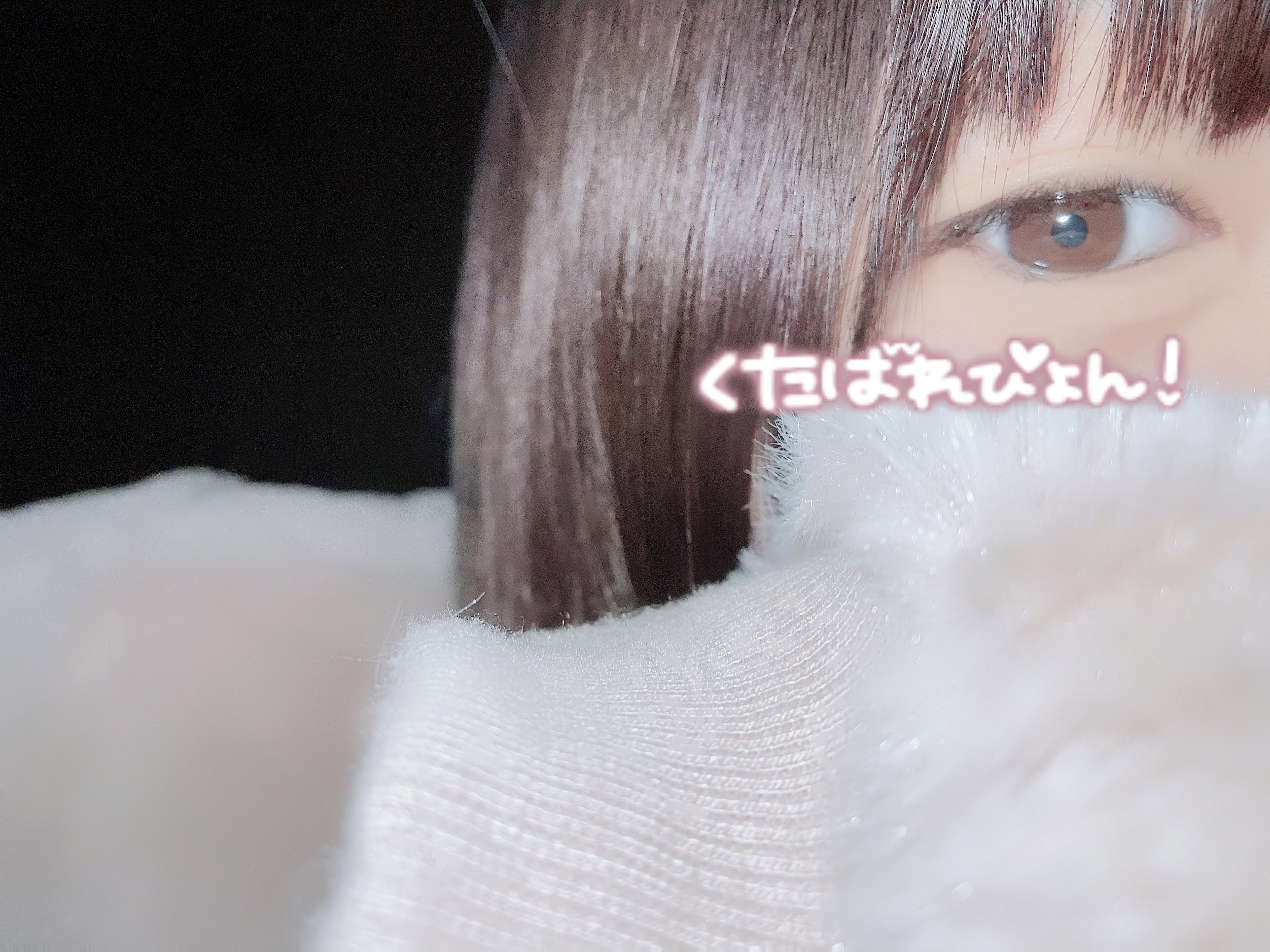 ひまだにゃ