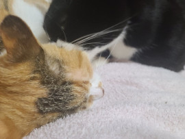 るうちゃんの2022/11/18 (金) 19:02のブログ