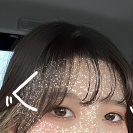 ビッパがかわいい