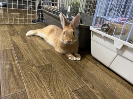 れむ♪ちゃんの2022/10/5 (水) 18:52のブログ