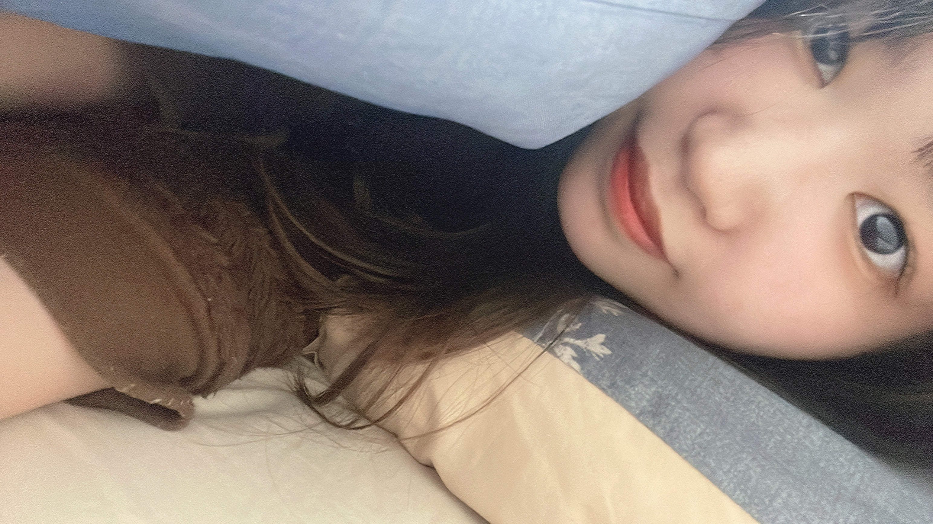 おふとんだいすき