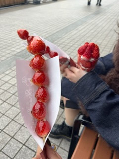 お出かけしました！