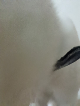 こんばんは！今日は〜