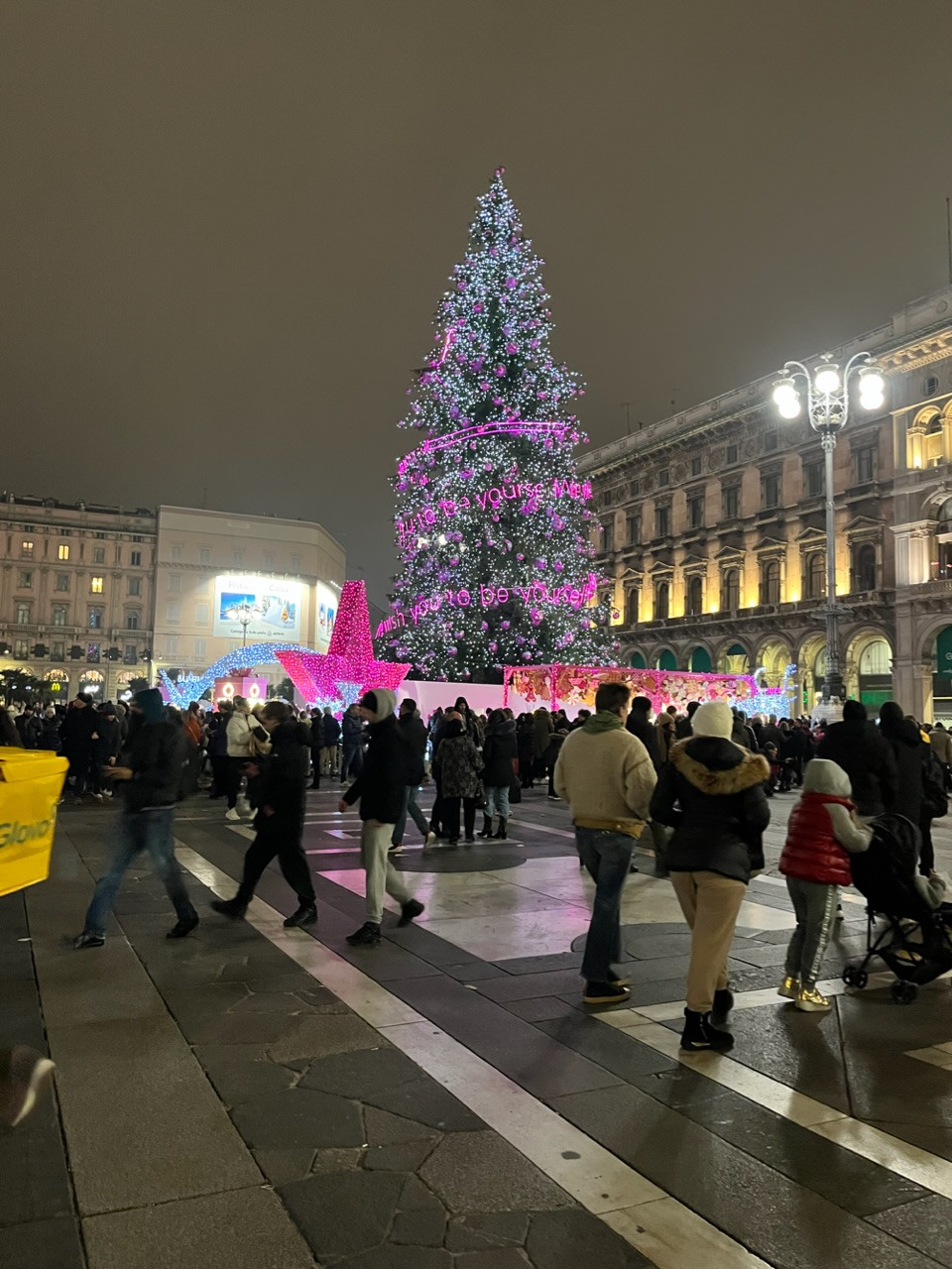 大きなクリスマスツリー?！