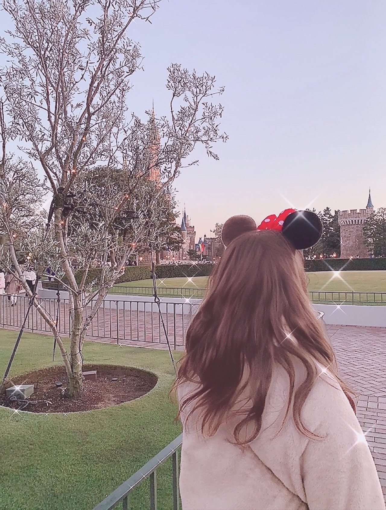 ディズニーランドへGO！