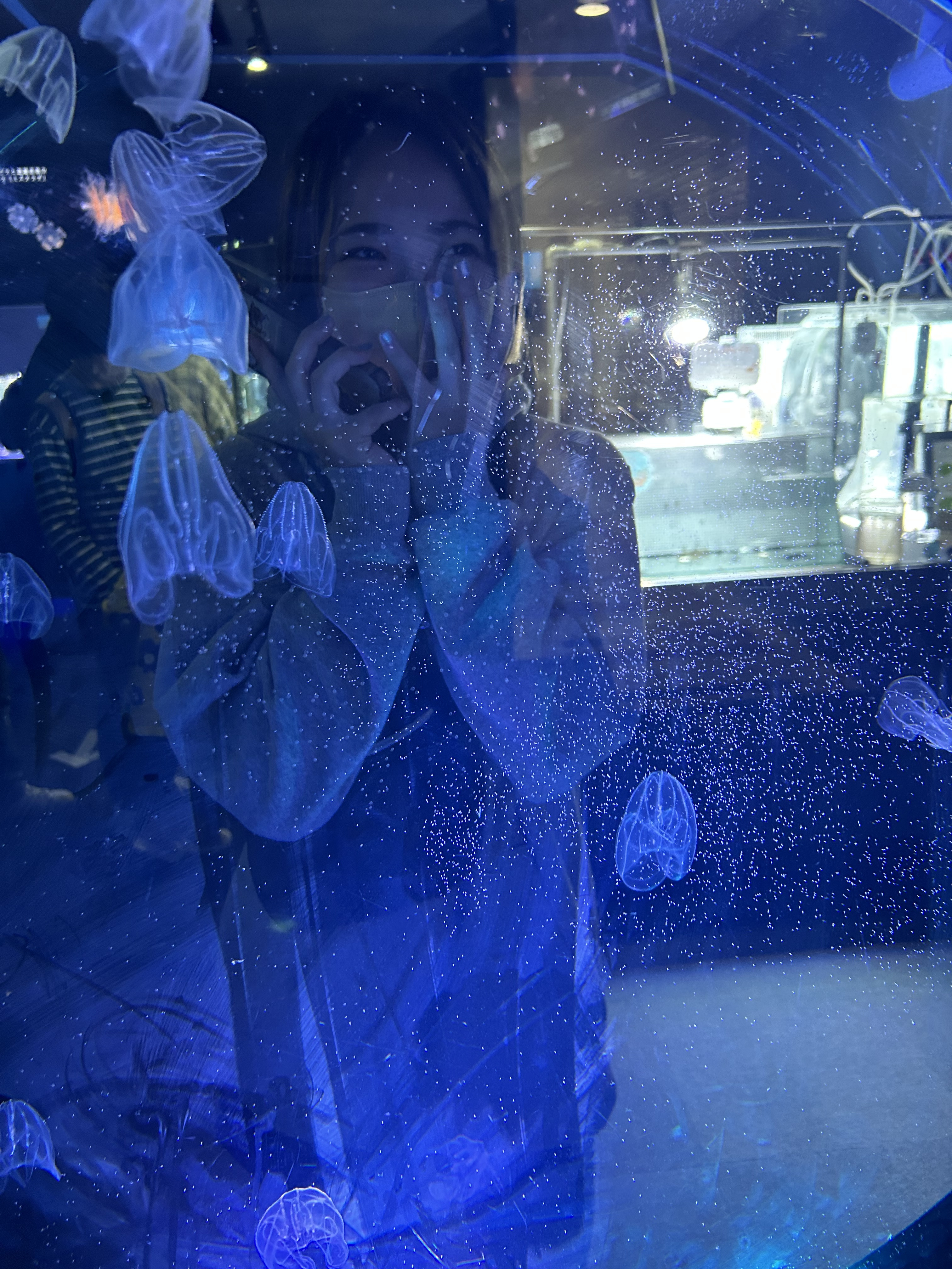 aquarium