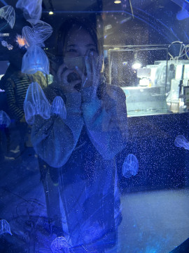 aquarium