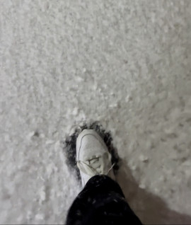 The day it snowed :)