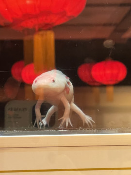 寒くなってきた