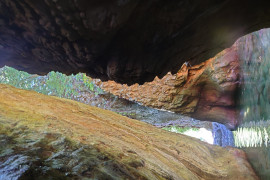 みーちゃんの2023/8/2 (水) 09:33のブログ