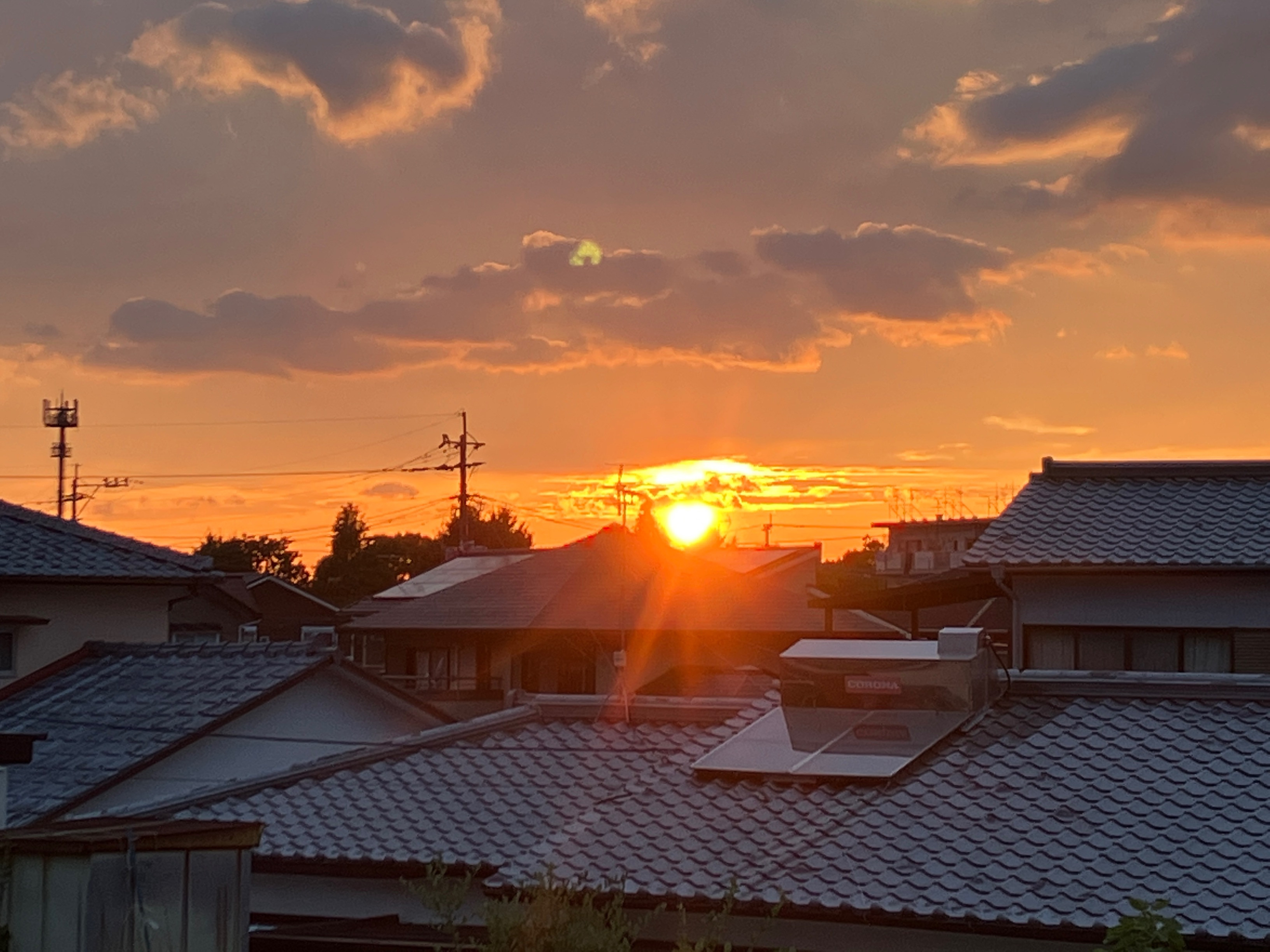 綺麗でした
