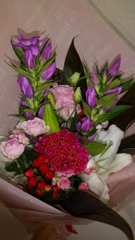 みあんちゃんの2023/2/1 (水) 15:27のブログ