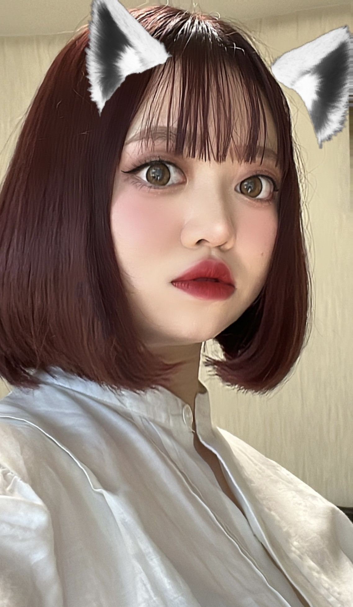 初めまして?