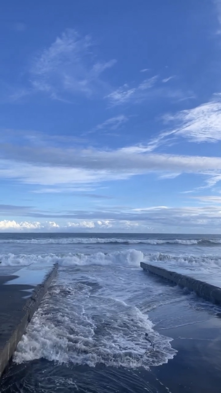 お久しぶりです?