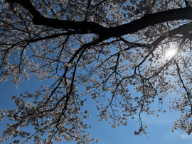 今年は厄年？？