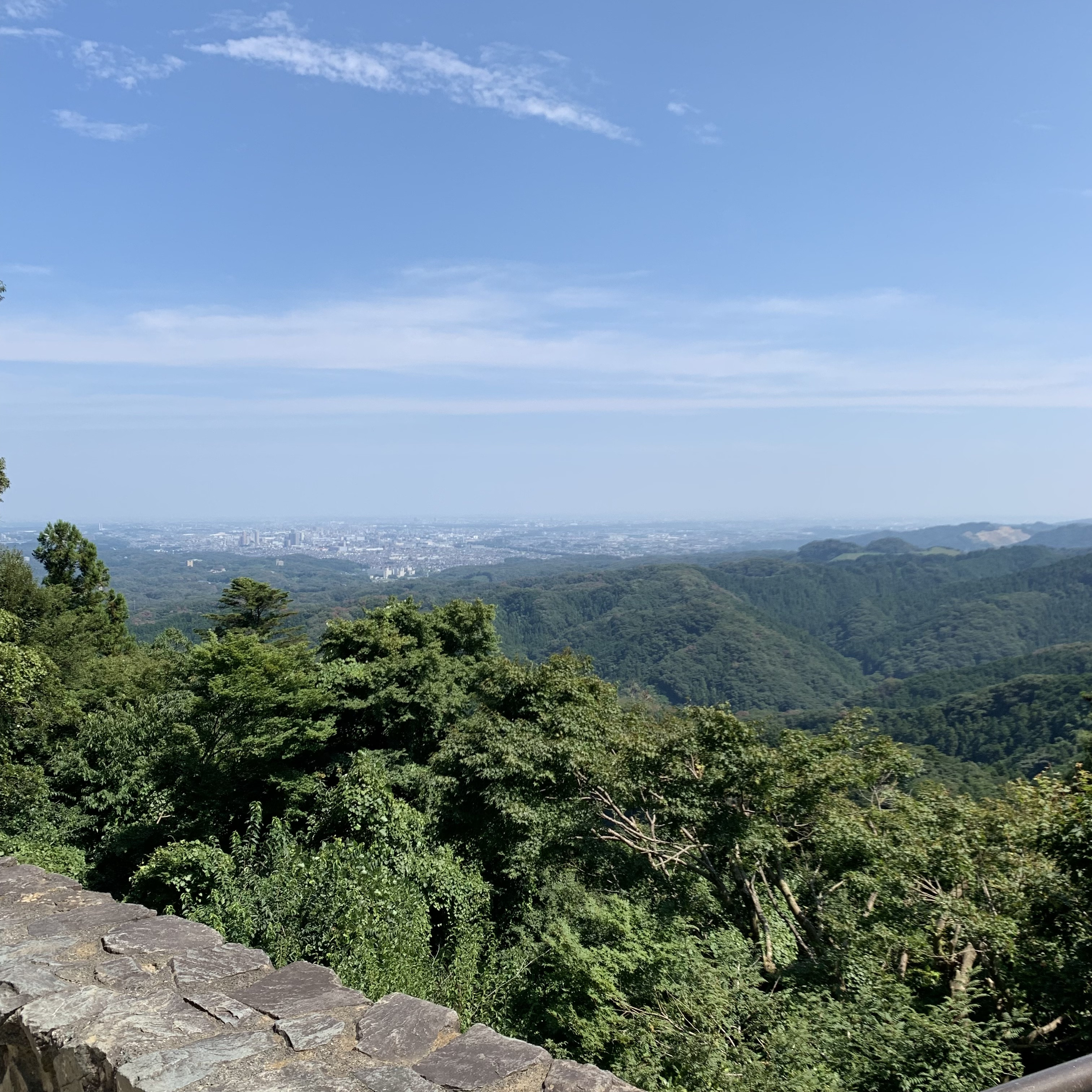 人間の欲について