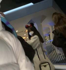 ディズニー　行ってきたよ