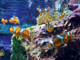 ゆいちゃんの2023/1/10 (火) 15:56のブログ