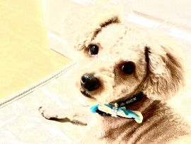 Natsu♡ちゃんの2023/1/19 (木) 21:59のブログ