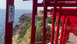 Natsu♡ちゃんの2023/1/13 (金) 10:25のブログ