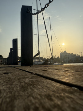 しっぽちゃんの5/7 (水) 20:23のブログ