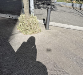 暇だ?