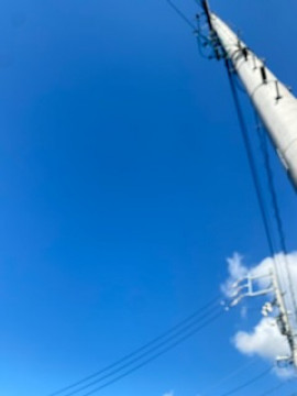 Yomiちゃんの2023/11/30 (木) 10:36のブログ