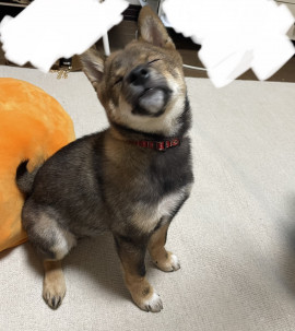 ゆいちゃんの2023/2/4 (土) 16:53のブログ