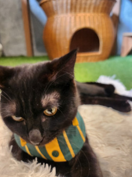 まいちゃんの2023/2/25 (土) 17:33のブログ