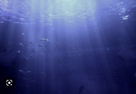 ニコちゃんの2023/4/10 (月) 03:05のブログ