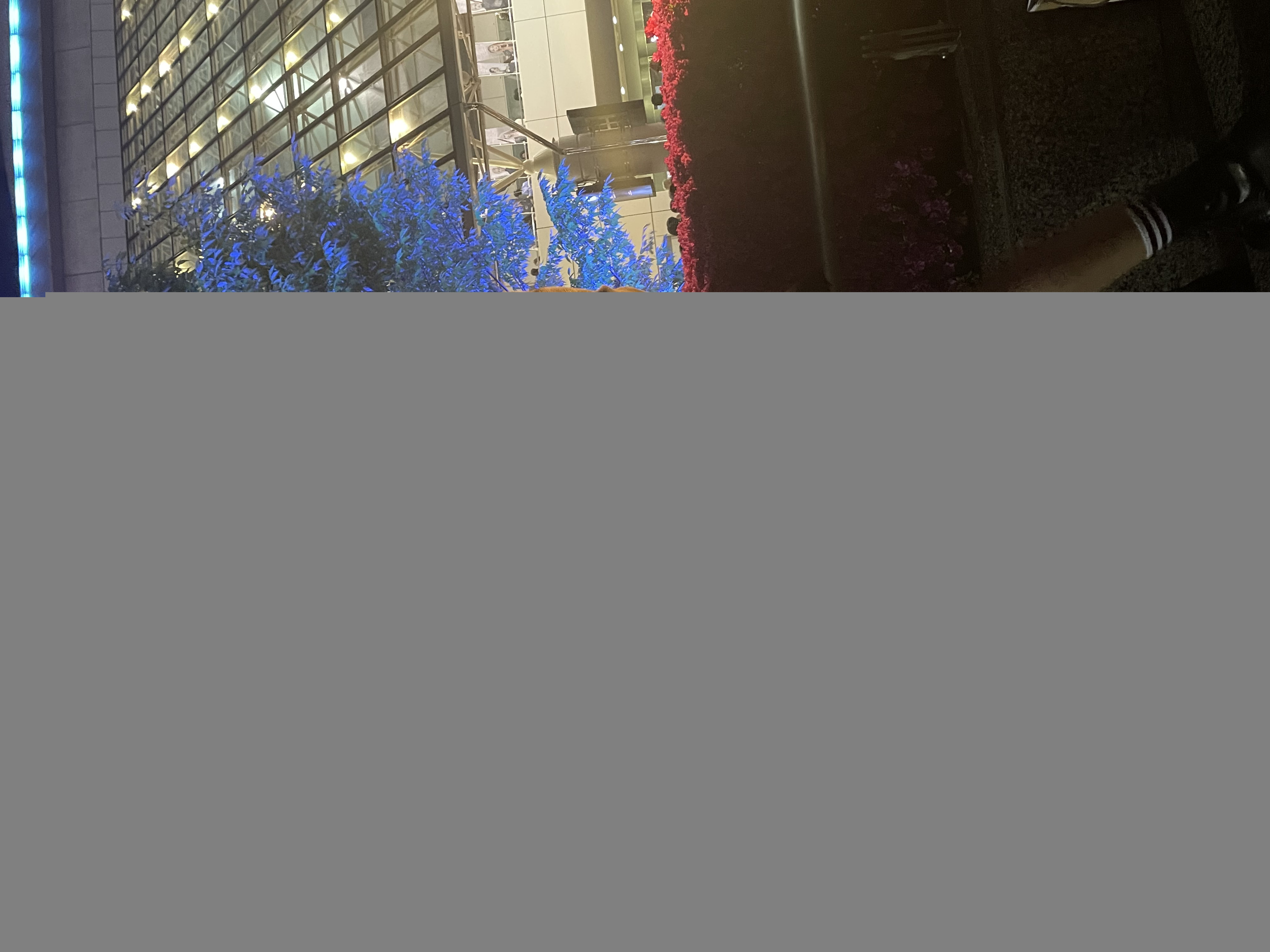 みんな元気かな？？？