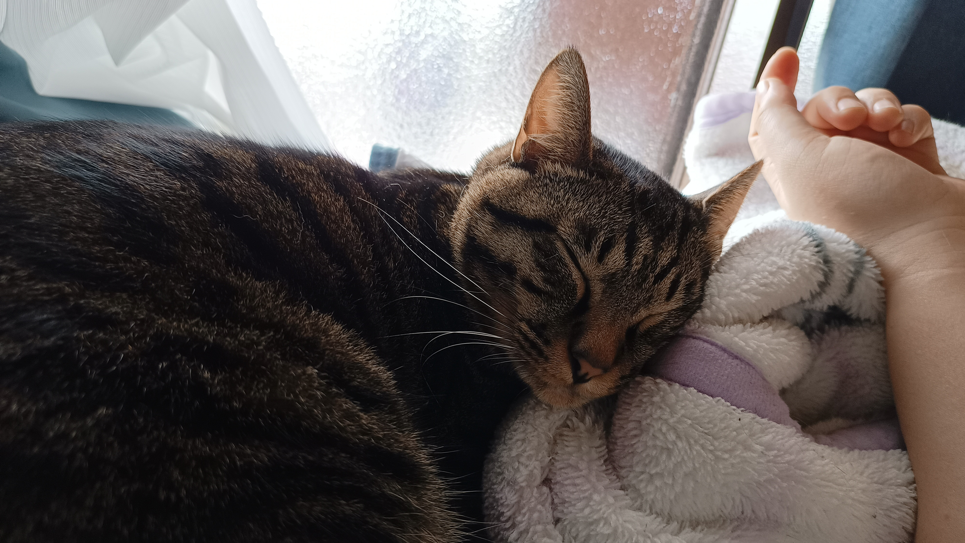 ε(･д･｀*)ﾊｧ…