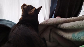 うたちゃんの2023/4/28 (金) 13:48のブログ