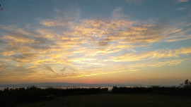 うたちゃんの2023/10/10 (火) 19:41のブログ