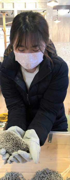 待機してまーす?