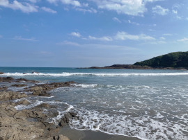 ぴこちゃんの2023/2/26 (日) 21:21のブログ