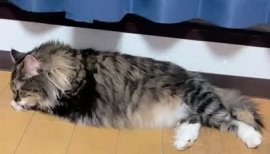 ななちゃんの2023/2/23 (木) 01:05のブログ