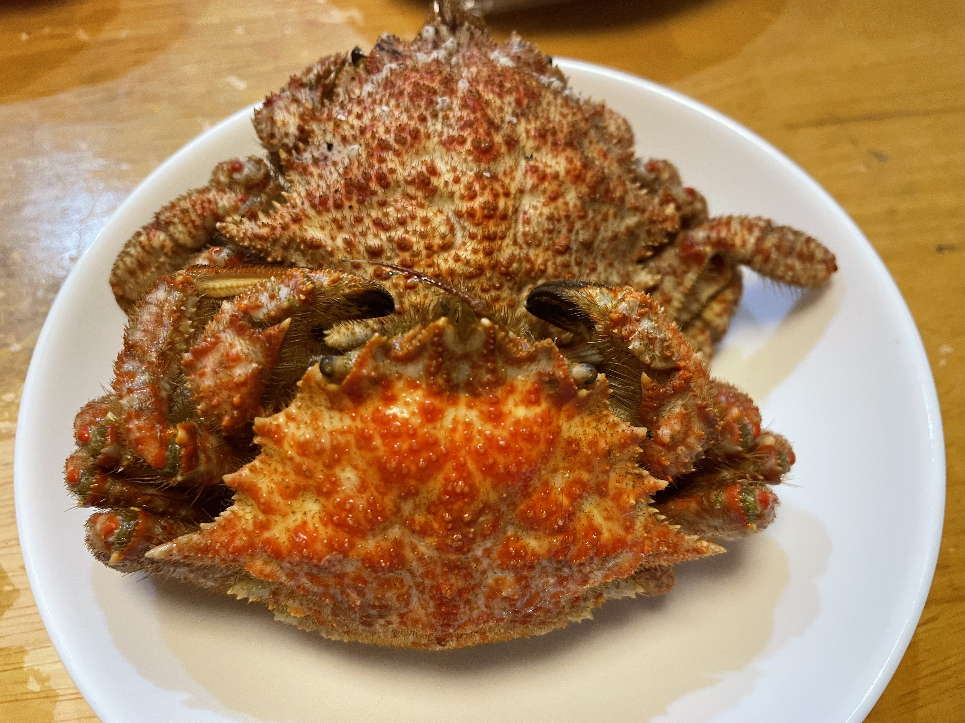 かに(V)(*'ω'*)(V)