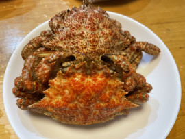 とらこちゃんの2023/4/24 (月) 17:12のブログ