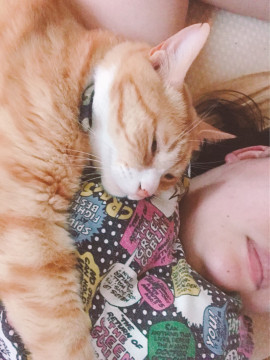 とらこちゃんの2023/3/9 (木) 19:30のブログ