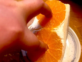 とらこちゃんの2023/5/11 (木) 01:04のブログ