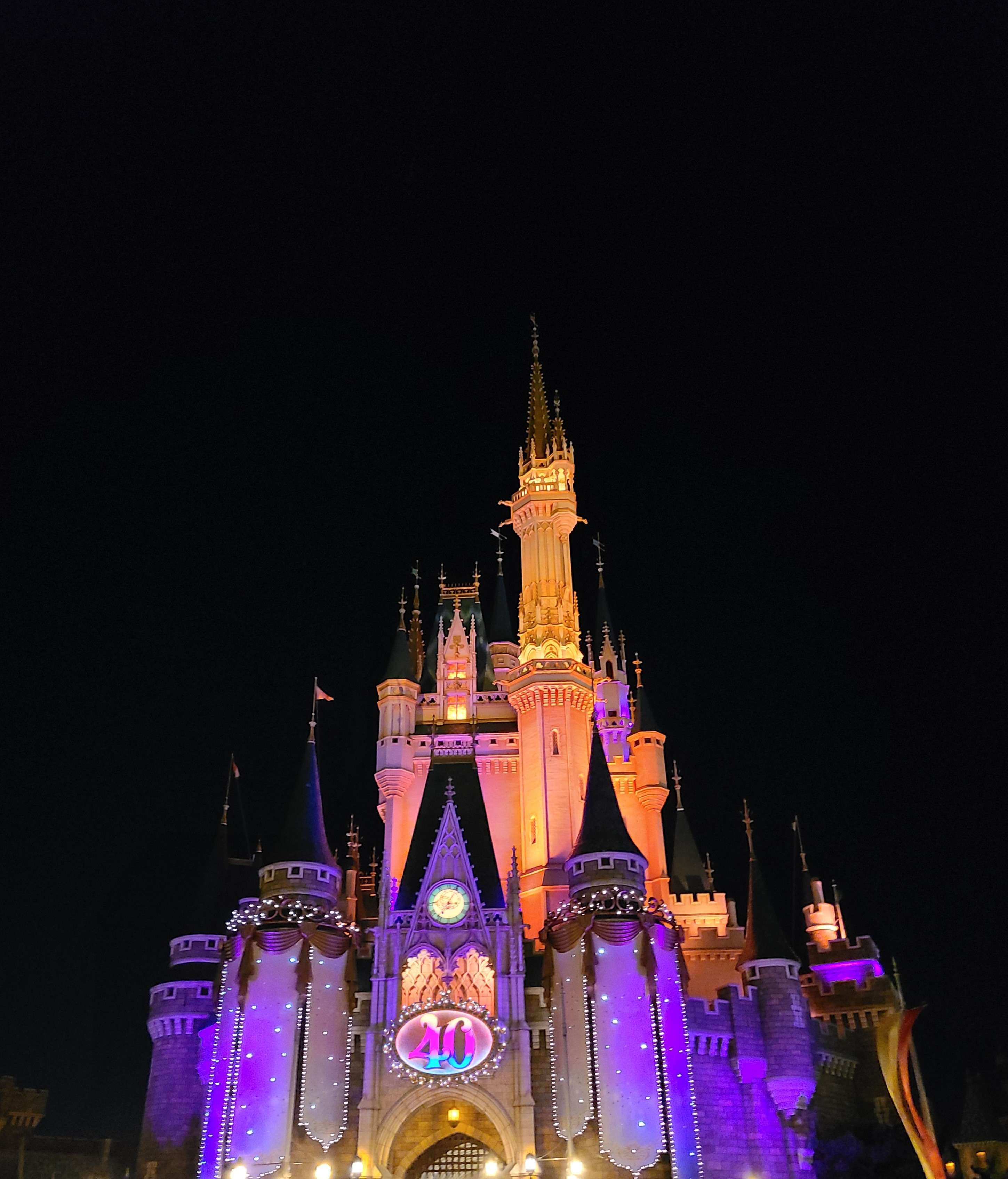 ディズニーランド！