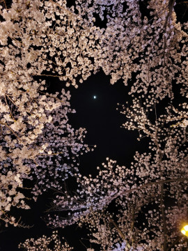 今日についてー