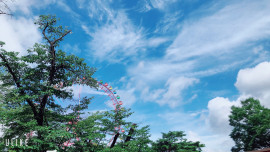 ゆい。゜ちゃんの2023/3/6 (月) 22:53のブログ