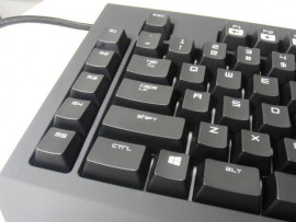 しずくちゃんの2023/3/7 (火) 19:18のブログ