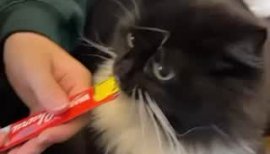 あぽちゃんの2023/3/6 (月) 14:33のブログ