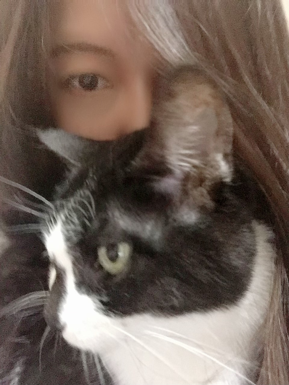 本日、のあ爆誕