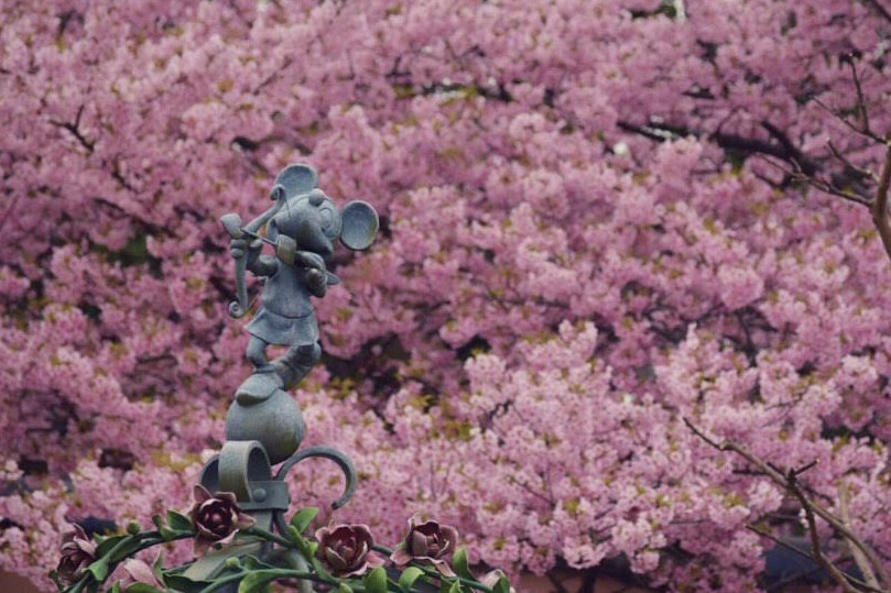 春のおすそ分け